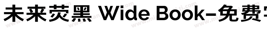 未来荧黑 Wide Book字体转换